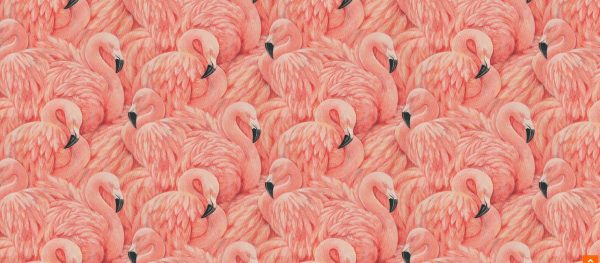 Le Dépot Légal, nouveau coup de génie de Christophe Adam, restaurant à Paris