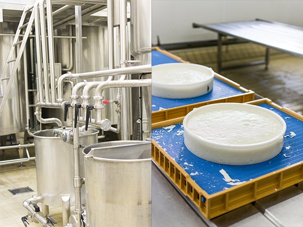 Brie de Meaux et Melun AOP : Ferme des Trente Arpents et processus de fabrication